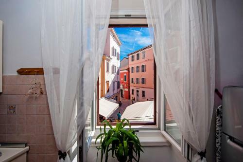 Apartment Rogi?