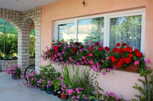 Apartment Barbat 5005b