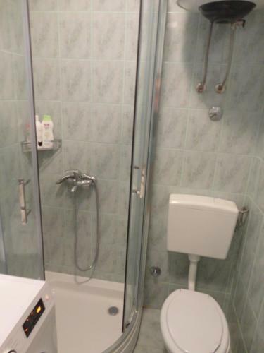 Apartment Ivana