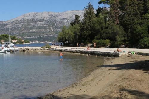Apartment Korcula 4407a