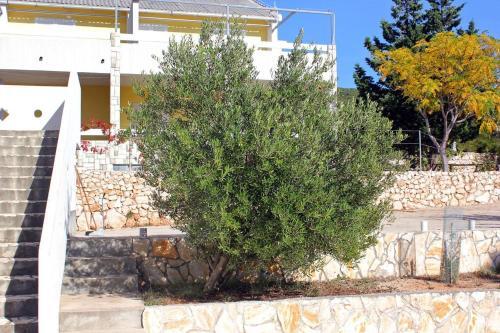 Apartamentos Studio Stara Novalja 9368a