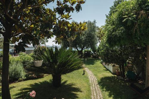 Apartments Lucija