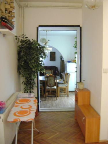 Apartments Mileva