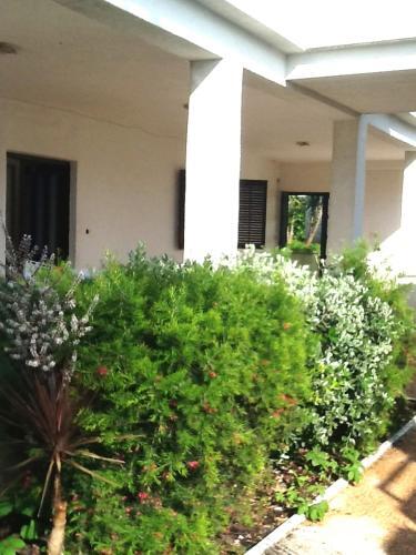 Beachfront Apartments Tamaris