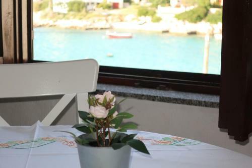 Apartamentos Villa Ivan