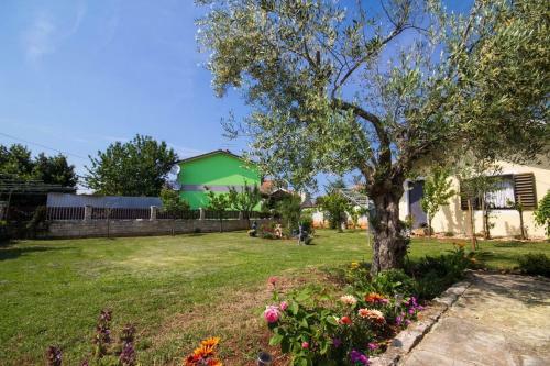 Apartments Mara