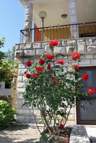 Apartment Supetar 2960b