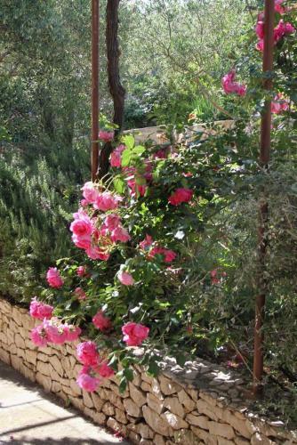 Apartment Supetar 2960b