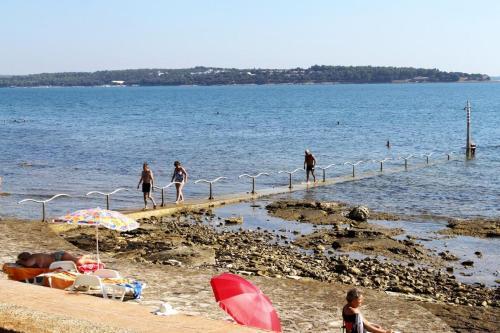 Apartment Novigrad 7335b