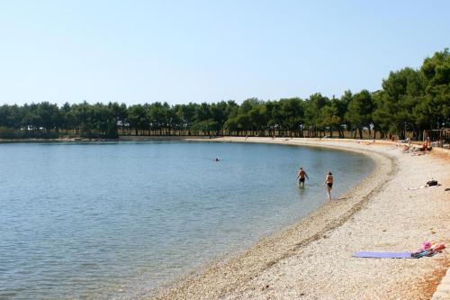 Apartment Novigrad 7335b