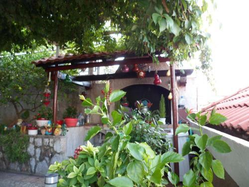 Hostal Guesthouse Ivona