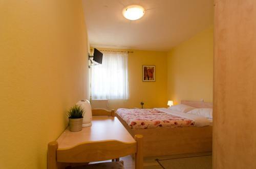 Hostal Guesthouse Villa Irena