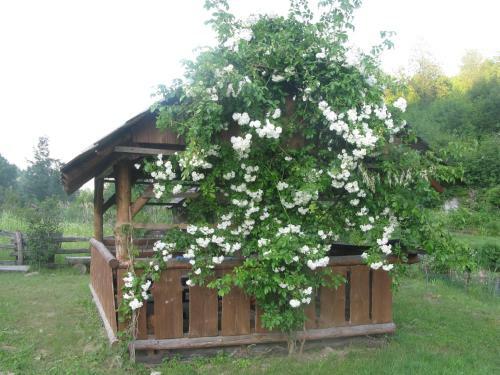 Hostal Apartments And Rooms Kristina