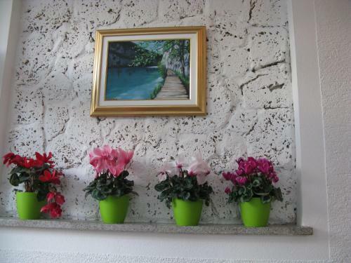 Hostal Apartments And Rooms Kristina