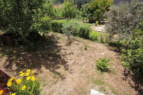 Hostal Twin Room Srebreno 8959a
