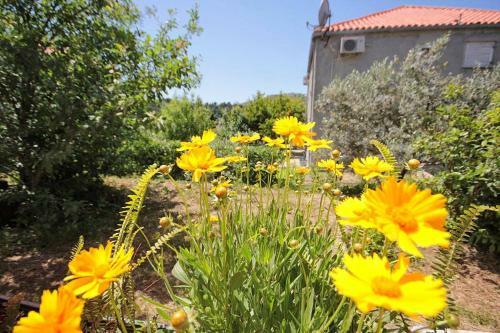 Hostal Twin Room Srebreno 8959a