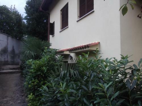 Apartment Camelia