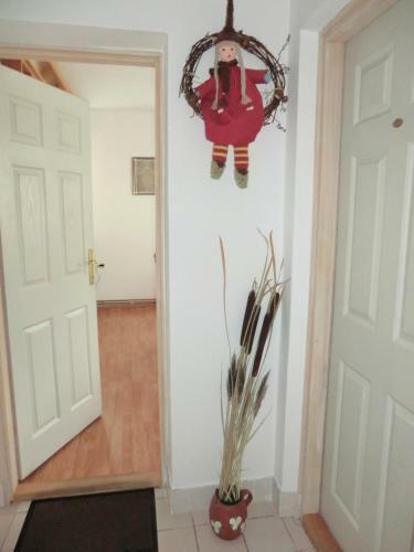 Hostal Pansion Izvor