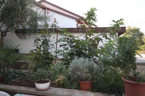 Hostal Apartment Dajla 6935a