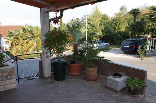 Hostal Apartment Dajla 6935a