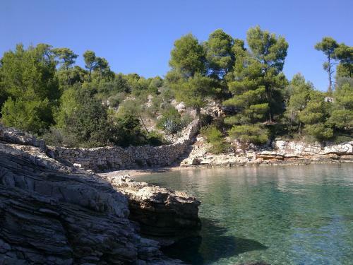 Apartments Pinus