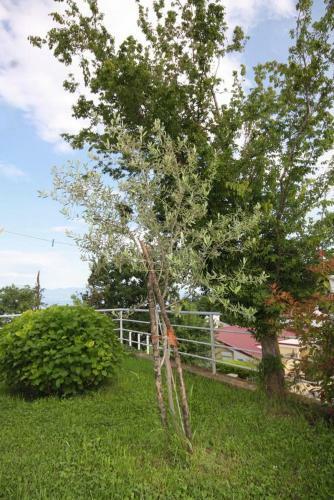 Apartment Njivice 5362c