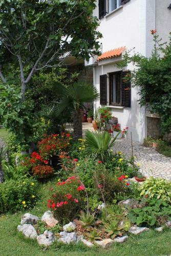 Apartment Smrika 2365a