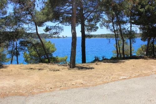 Hostal Studio Mali Losinj 8054c
