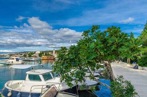 Apartamento Studio In Selce/crikvenica Riviera 13930