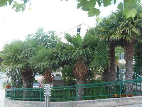 Apartments Palma