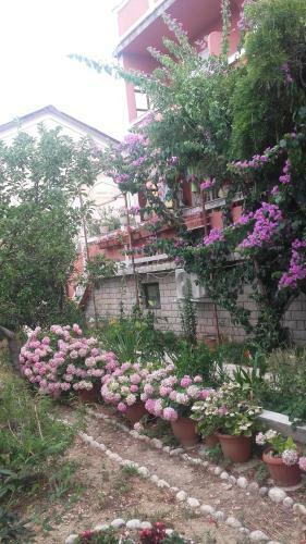 Apartments Marica