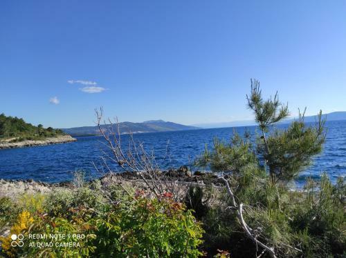 Apartment Ornela