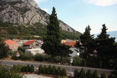 Apartments With A Parking Space Gradac (Makarska) - 5198