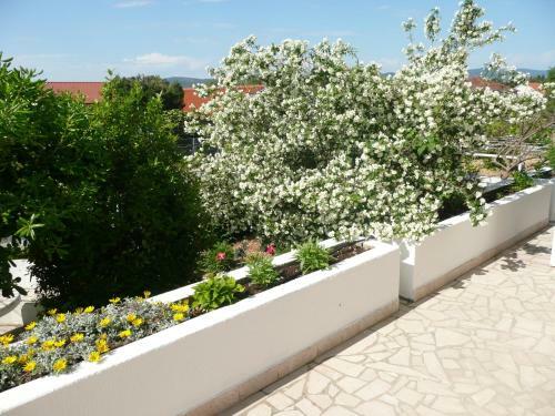Hostal Apartment Nima Orebic