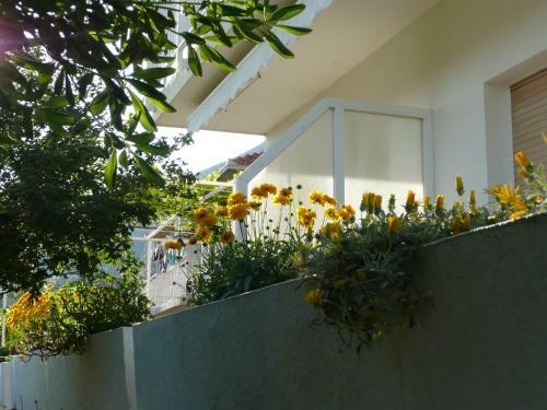 Hostal Apartment Nima Orebic