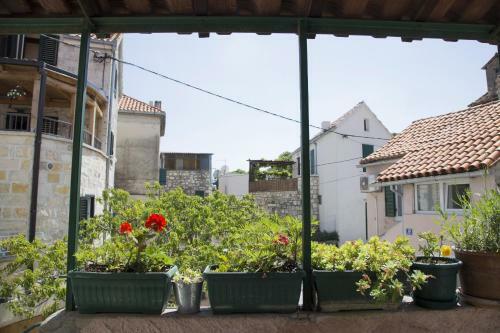 Apartment Pina