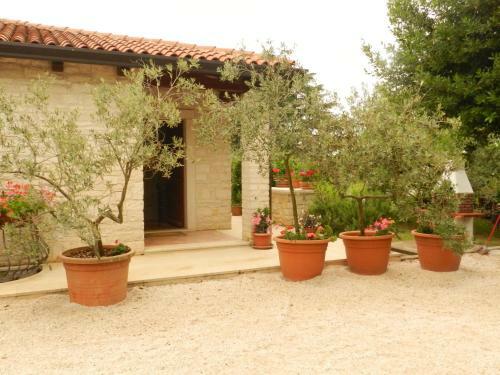 Apartment Valter