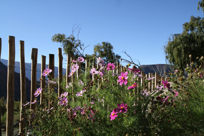 Hotel Mirador Del Virrey Cabanas Boutique