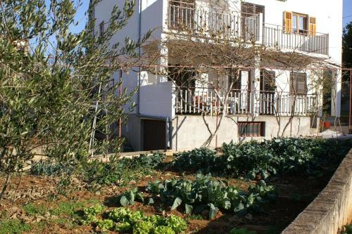 Apartamentos Studio Biograd Na Moru 4303a