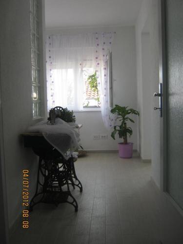 Apartment Tisno 11313b