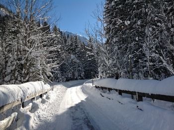 Pension Landhaus Cornelia