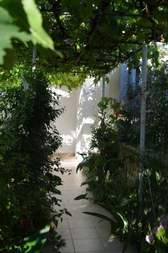 Hostal Villa Lanca