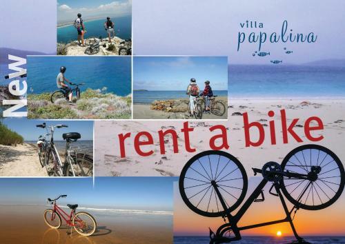 Apartments Villa Papalina 2