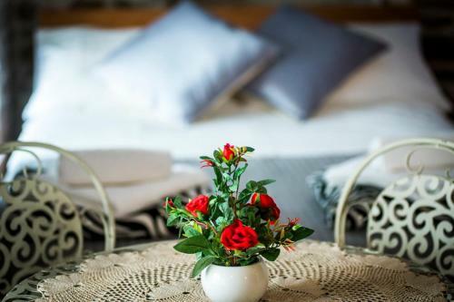 Apartamentos Old Town Studio