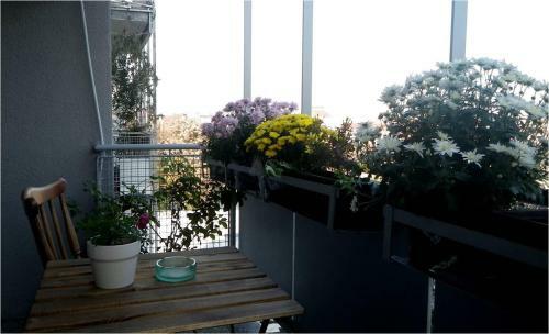Apartment Bauer Miramarska 15a