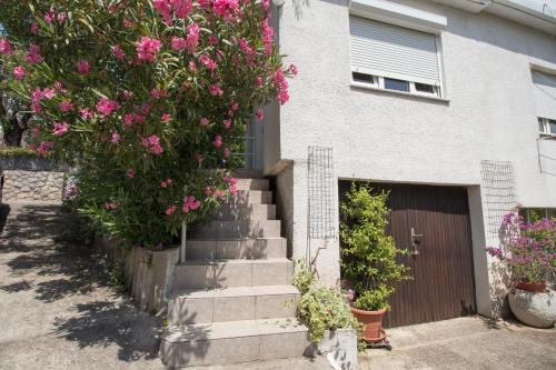 Apartment Miroslav