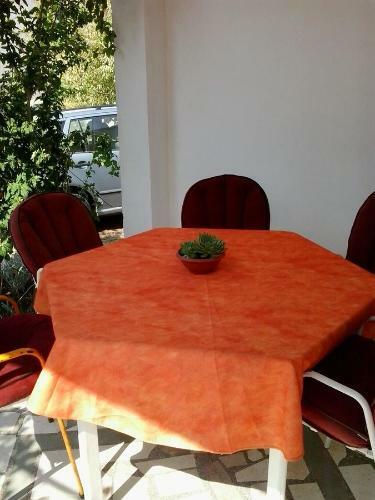 Apartment Anci
