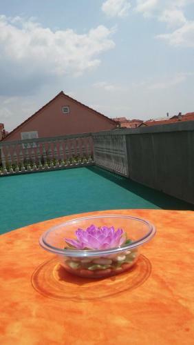 Apartment Anci