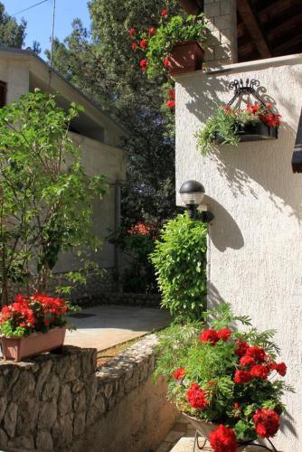 Apartment Artatore 2509e