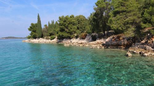 Apartment In Malinska/insel Krk 14445